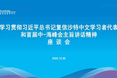 宋敏出席教育部中外语言交流合作中心座谈会